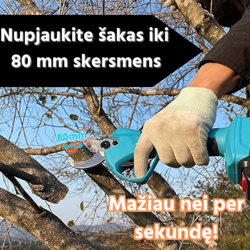 Copia di Aggiungi un titolo (1)