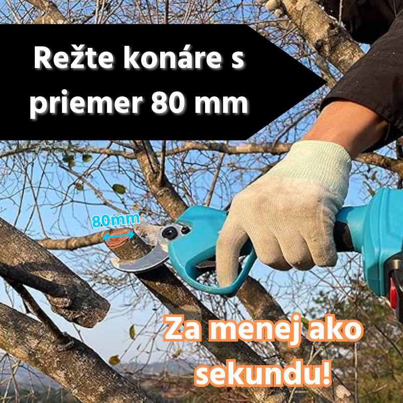 Copia di Aggiungi un titolo SK